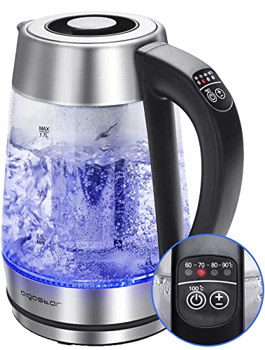 Aigostar Electric Kettle, Tea Kettle with Temperature Control and Tea Infuser, Hot Water Kettle with Variable Temperature, Keep Warm Function, LED Indicator Light Change, Auto Shut-Off, 1.7L