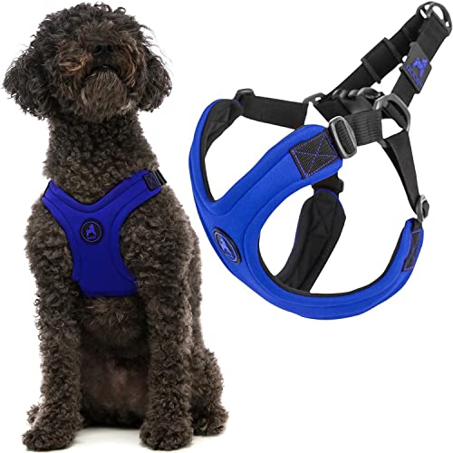 Gooby Escape Free Sport Harness - Blue, Large - No Choke Step-in Patented Neoprene Small Dog Harness with Four-Point Adjustment - Perfect on The Go Dog Harness for Medium Dogs No Pull and Small Dogs