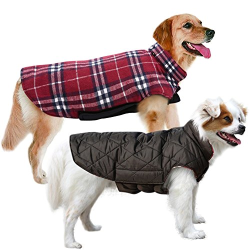 {Updated} List of Top 10 Best telluride clothing company dog in Detail