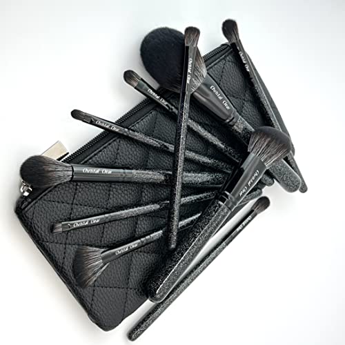 10 Piece Glitter Pro Brush Set