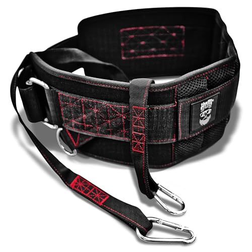 THEFITGUY Ultimate Dip Belt | Secure Closure - No Sliding Down | Structured Back Support | 45-Angle Rings - Comfort Dip Position | 40” Strap & 2 Snap Hooks - for Dips, Pull Ups, Squats, Weight Lifting