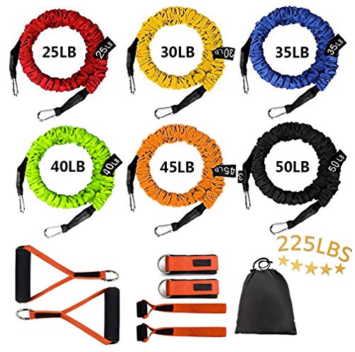 Sunsign Resistance Band with Handle, Exercise Bands with Handles, Ideal for Strength Training, Muscle Toning, Physical Therapy, 12 pcs, Orange