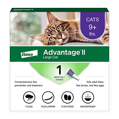 Advantage II Large Cat Vet-Recommended Flea Treatment & Prevention | Cats Over 9 lbs. | 1-Month Supply(Packaging May Vary)