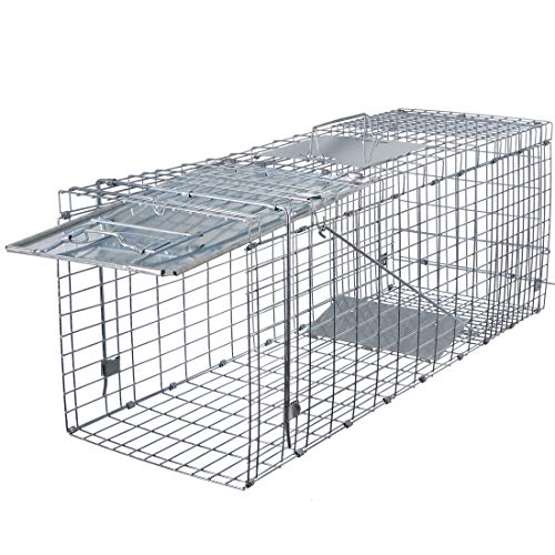 ANT MARCH Live Animal Cage Trap 32''x11.5'x13' Steel Humane Release Rodent Cage Iron Door for Rabbits, Stray Cat, Squirrel, Raccoon, Mole, Gopher, Opossum, Skunk, Chipmunks, Groundhog