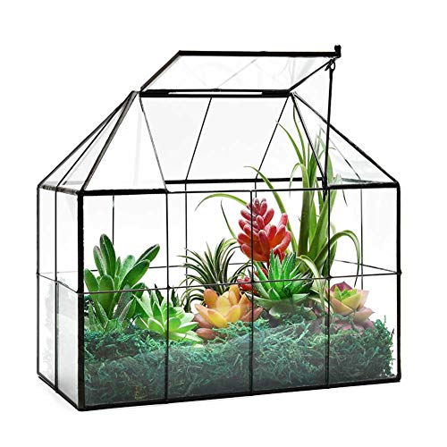 Large Glass Terrarium House Planter – Succulent Plant Glass Greenhouse with lid 9.8'X7.9'X5.9' NA