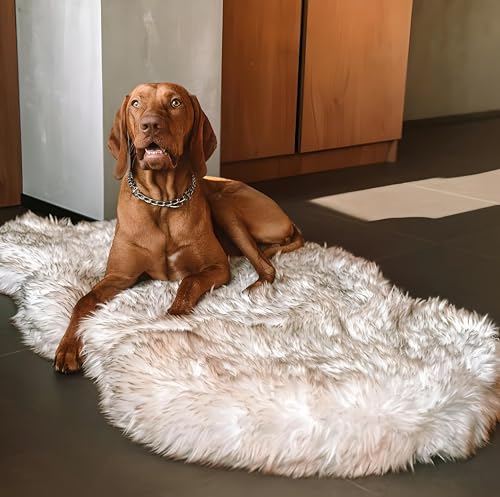 IHAPPYDOG Luxury Faux Fur Orthopedic Dog Bed, Memory Foam Dog Bed​ for​ Small, Medium, Large and XL Pets, Fluffy Pet Bed with Waterproof ​and ​Washable Cover, White, Large/Extra Large 50x30