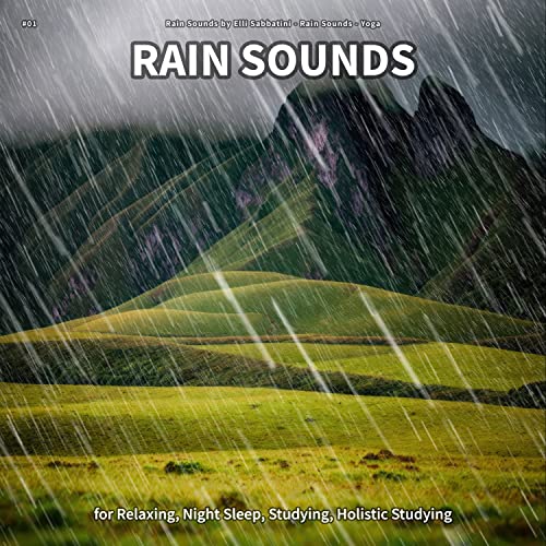 Rain Sounds, Pt. 26
