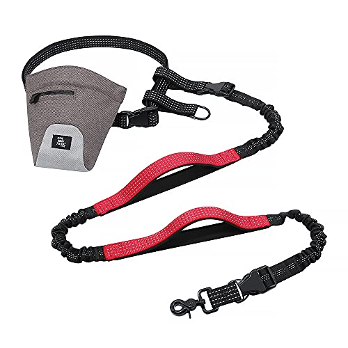 The Buddy System Buddy Bag with Magnetic Closure and Reflective Leash System for Walking, Running and Training Service Dogs