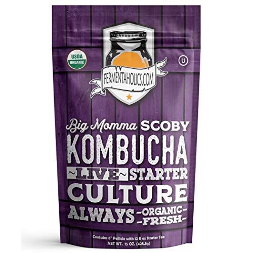 Fermentaholics BIG MOMMA Kombucha SCOBY With Twelve Ounces of Starter Tea - Live Kombucha Starter Culture | Extra Large 6' Pellicle | Makes A One Gallon Batch | 1.5 Cups of Strong Mature Starter Tea