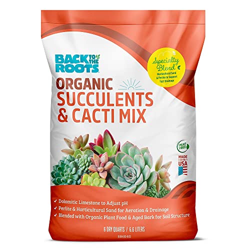 Back to the Roots Succulents & Cacti Mix, Made in The USA 6qt
