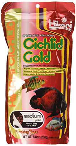 HIKARI (3 Pack) 8.8-Ounce Cichlid Gold Floating Pellets for Pets, Medium