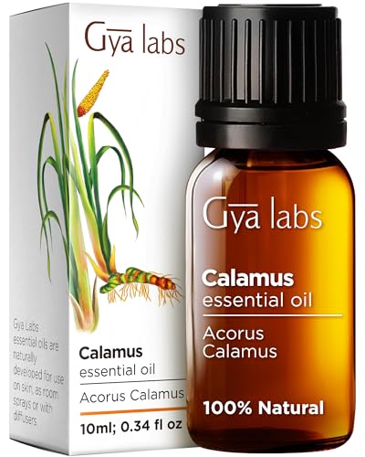Gya Labs Calamus Essential Oil for Hair - 100% Natural Calamus Oil for Diffuser - Calamus Oil Essential Oil for Skin, Aromatherapy & Massage - Earthy, Woody, Spicy Scent (0.34 Fl Oz)