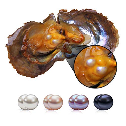 LGSY 6-7mm Mixed Colored Akoya Saltwater Cultured Twins Pearl Oysters for DIY Jewelry Making, Pack of 5Pcs(White, Pink, Purple, Black)