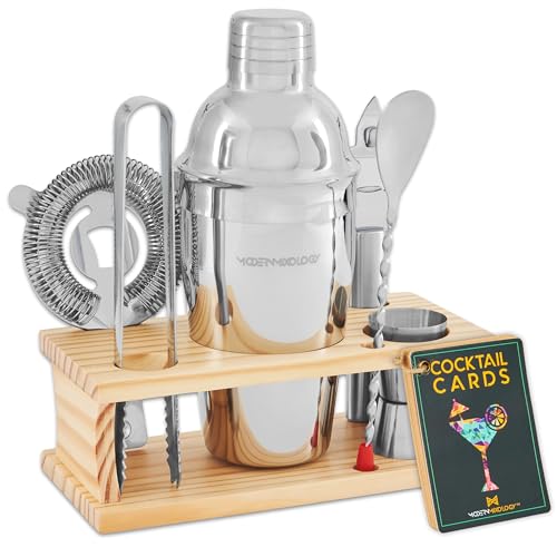 Mixology Bartender Kit - 8-Piece Cocktail Shaker Set with Wood Stand, Recipe Cards, and Bar Accessories Ideas (Silver)