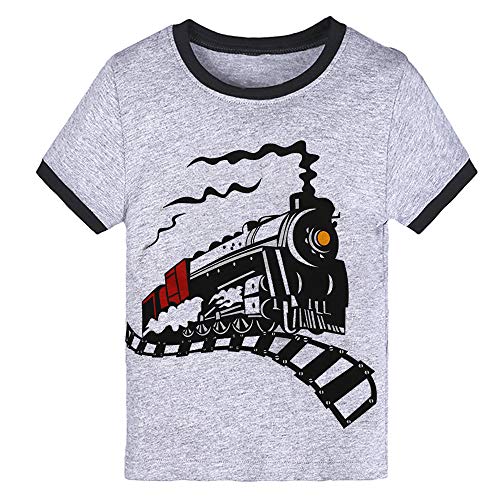 Boys Novelty T-Shirts Dinosaurs Top Tee Shirt Summer Short Sleeve Tees Kids 2-3 Years