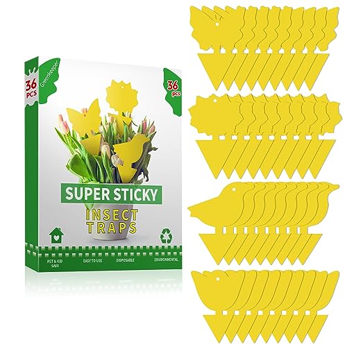 36 Pcs Sticky Traps for Fruit Fly, Whitefly, Fungus Gnat, Mosquito and Bug, Yellow, Insect Catcher Traps for Indoor/Outdoor/Kitchen, Extremely Sticky Trap, Non-Toxic, 4 Shapes