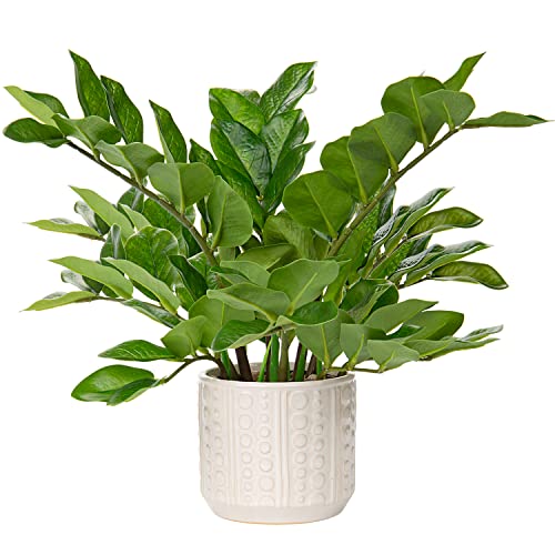 Briful Faux Plants Indoor 17' Artificial ZZ Plants in Ceramic Pot Fake Potted Zamioculcas Silk Plants for Home Table Decor Bedroom Aesthetic (1Pack)