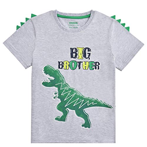 Dinosaur Big Brother Announcement T Shirt Sibling Outfits for Toddler Boys Cotton Promoted to Big Brother Shirt Print Colorful Dino Short Sleeve Top Tee Gift(Gray, 2-3T)