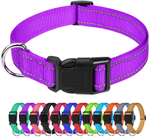 TagME Reflective Nylon Dog Collars, Adjustable Classic Dog Collar with Quick Release Buckle for Medium Dogs, Purple, 1.0' Width