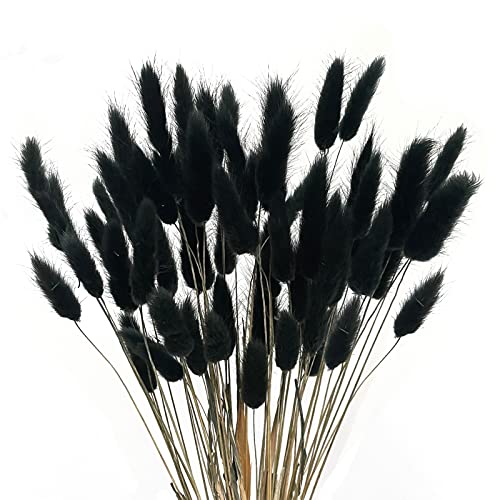 XHXSTORE 60pcs Dried Bunny Tails Flowers Black Pampas Grass Dried Flowers Bulk Natural Lagurus Ovatus Dried Floral Arrangement Dry Flowers for Boho Home Wedding DIY Craft Decoration (16')