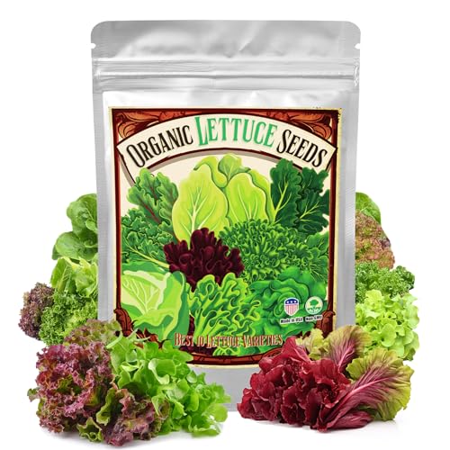 22,000+ Organic Lettuce Seeds, Heirloom Vegetable Seed for Planting, 10 Varieties Fresh Salad Greens Seeds Gift Pack - Buttercrunch, Romaine, Iceberg, Boston, Bibb and More, Non-GMO