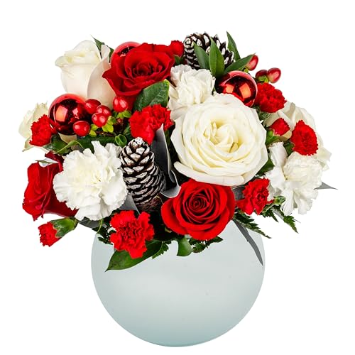 PICK YOUR OWN DELIVERY DATE | Red, White, Green Snowflake Aquabloom Arrangement with Opal Vase | Designed by Arabella Bouquets | Farm Fresh Cut Flowers, Gifts for Christmas, Birthday