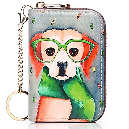 APHISON RFID Credit Card Holder Wallets for Women Leather Cartoon Patterns Zipper Card Case for Ladies Girls/Gift Box 012