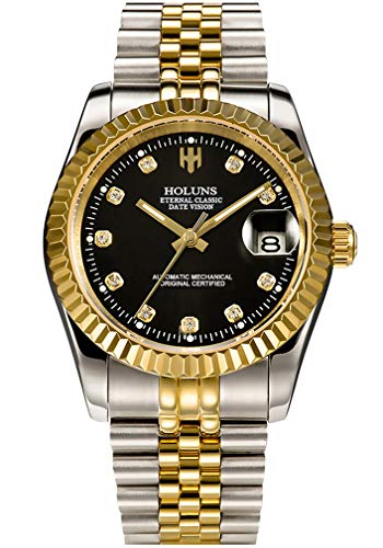 HOLUNS Mens Full Gold Watch Automatic Mechanical Gilded Steel Self-Wind Sapphire Glass Dress Waterproof Watch (Black dial with Stainless Steel Band)