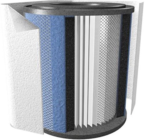 Austin Air Healthmate Replacement Filter White