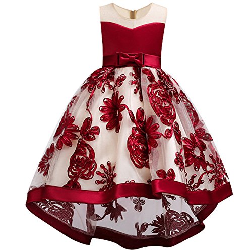 Girls Dresses for Party Wedding Communication Kids Big Flower Lace Tutu High Low Evening Wearings for Little Big Girls Summer Sun Dresses Knee Long Size for 2-3 T (Red 100)