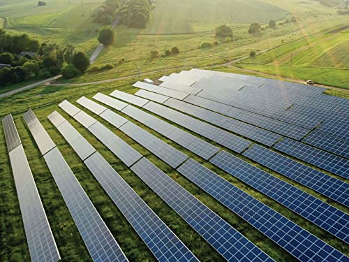 The Path to Net Zero