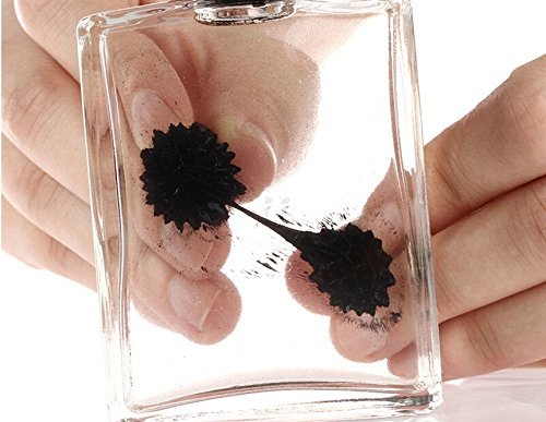 Amazing Ferrofluid Magnetic Display in a Bottle, Ferrofluid Magnetic Liquid Display Desk Toy, Magnetism Science Kits by C&H Solutions
