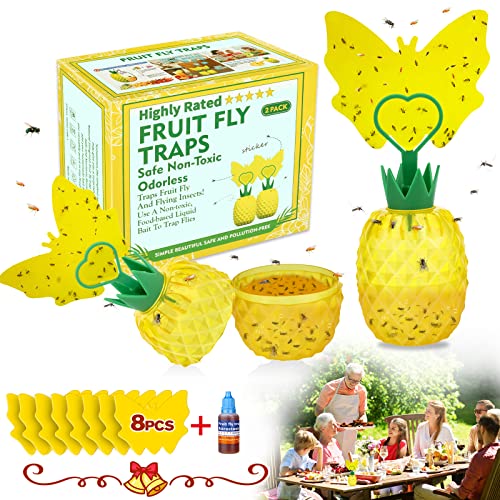 Fruit Fly Trap for Indoors, 2023 Upgrade Fruit Fly Killer Gnat Traps for House Indoor with Yellow Sticky Pads, Non-Toxic Reusable Fly Catcher Gnats Killer Comes with Attractant for Home/Plant (2 Pack)