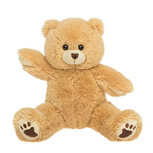 Personal Recordable Plush 15' Talking Teddy Bear