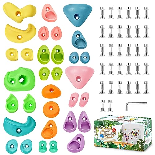 TOPNEW 32 Rock Climbing Holds Multi Size for Kids, Adult Rock Wall Holds Climbing Rock Wall Grips for Indoor and Outdoor Playground Play Set