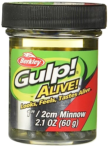 Berkley Gulp! Alive! Minnow Fishing Bait, Green Shiner, 1in, Extreme Scent Dispersion, Realistic Minnow Profile, Ideal for Bass, Trout, Walleye, Panfish and More
