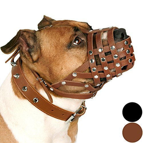 CollarDirect Pitbull Dog Muzzle Leather Amstaff Muzzles Staffordshire Terrier Secure Basket (Brown)