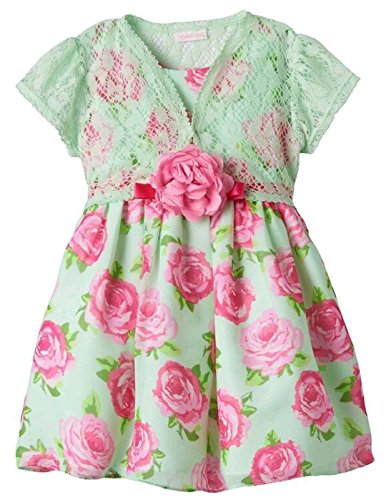 Youngland Girls Crochet Shrug & Rose Dress Set, Mint/Pink (2T)
