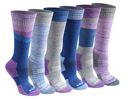 Dickies Women's Dri-Tech Moisture Control Crew Socks Multipack, Blue Mountain (6 Pairs), Shoe Size: 6-9