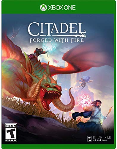 Citadel Forged with Fire - Xbox One Standard Edition