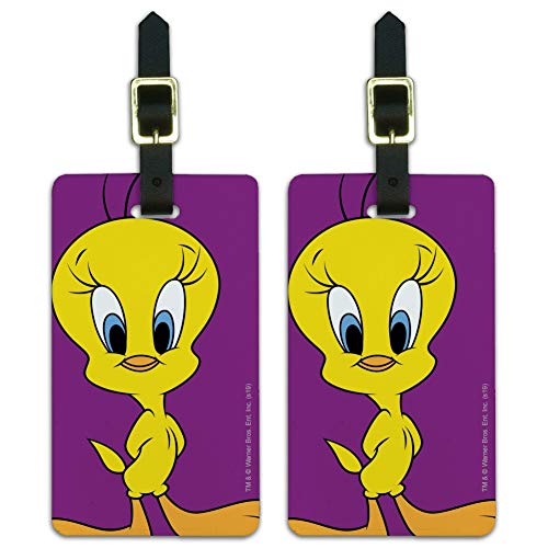 Looney Tunes Tweety Bird Luggage ID Tags Suitcase Carry-On Cards - Set of 2