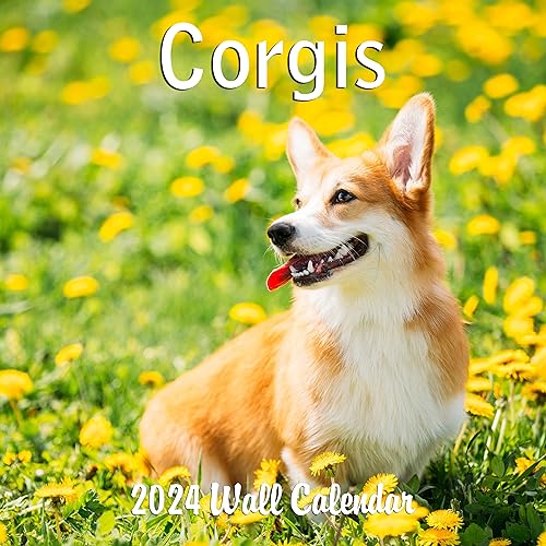 2024 Corgis Dogs Puppies Monthly Wall Calendar with Four Bonus Months from 2023 16-Month Calendar Starts in September 2023 until December 2024 12' x 24' (when open) 12' x 12' (when closed) Thick Sturdy Paper