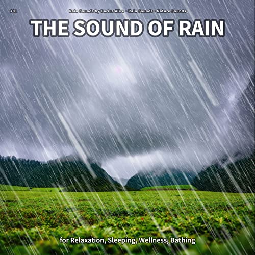 The Sound of Rain, Pt. 26