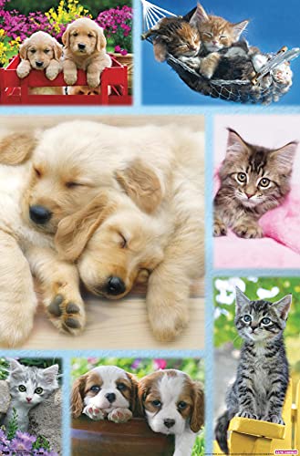 Trends International Keith Kimberlin - Puppies and Kittens Collage Wall Poster, 22.375' x 34', Unframed Version