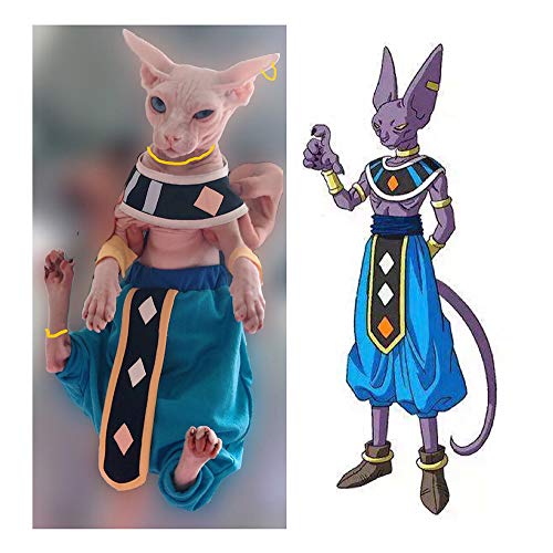 {Updated} List of Top 10 Best dragon costume for cat in Detail