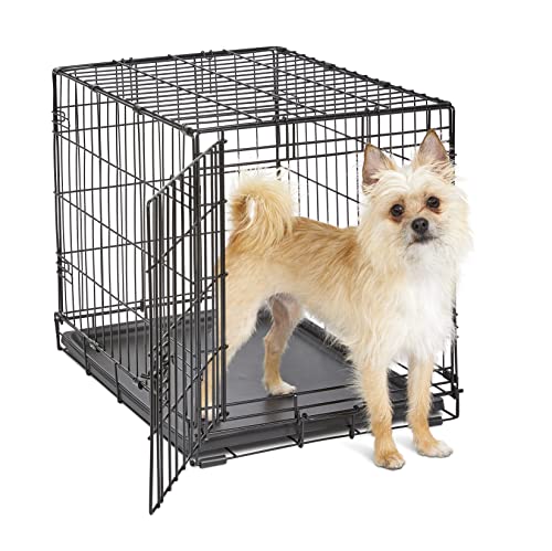 New World Newly Enhanced Single Door New World Dog Crate, Includes Leak-Proof Pan, Floor Protecting Feet, & New Patented Features, 24 Inch