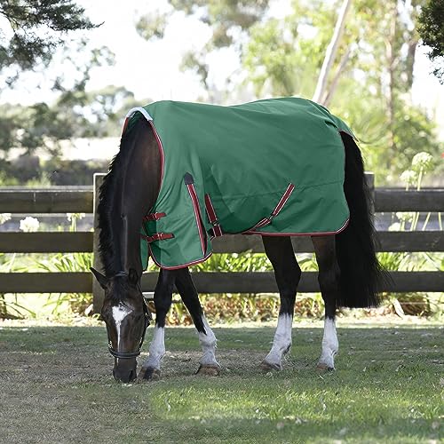 WeatherBeeta ComFiTec Prelim Standard Neck Medium Horse Blanket, Dark Green/Red/White, 81'