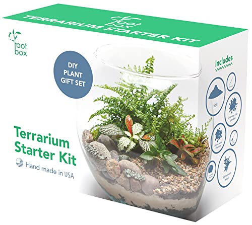 Root Box Large Terrarium Kit in Scented giftbox | Supplies for Glass Container terrariums | Suitable for Various Plants for Your own Slice of Science Creativity | Suitable for Adults and Kids