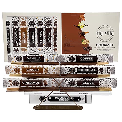 Gourmet Incense Sticks Variety Pack - 120 Insence Sticks (6 Incents x 20 Insenses) - Cinnamon Vanilla Coffee Chocolate Clove Ginger - Natural Incense Set with Stick Incense Holder for Fall Christmas