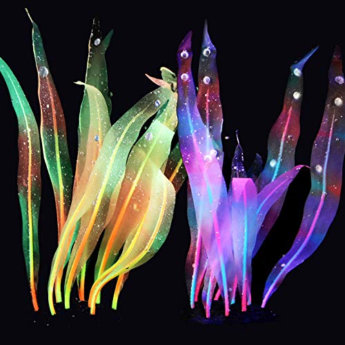 {Updated} List of Top 10 Best glow in the dark aquarium plants in Detail